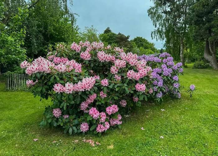 With Large Terrace In