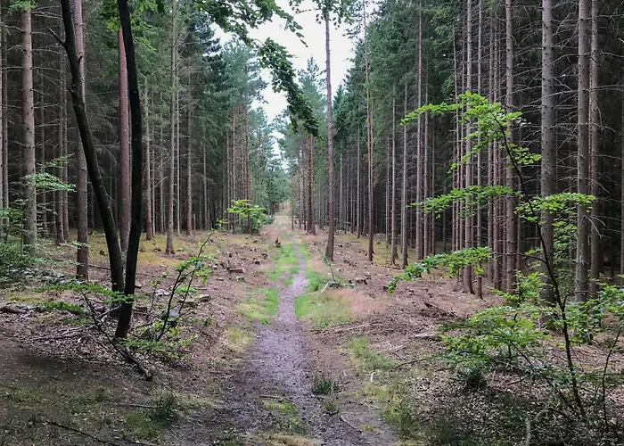 With Large Terrace In Nyaraló *